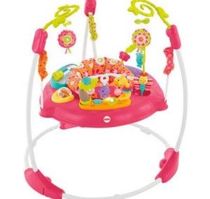 Pink jumperoo
